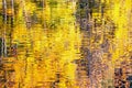 Golden autumn water reflection background