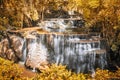 Golden autumn waterfall flowing in tropical rainforest