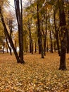 Autumn, landscape, Park, Kremlin, Veliky Novgorod
