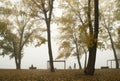 Golden autumn with yellow, orange, green leaves on the trees. The bank of the river Dnieper. Person is sitting on the bench, the