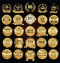 Golden badges and labels with golden ribbon vector collection