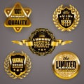 Golden badges with laurel wreath Royalty Free Stock Photo