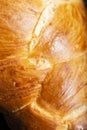 Golden baked Challah bread