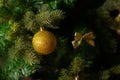 Golden Ball In Christmas Fir Tree With Decoration Royalty Free Stock Photo