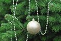 Golden Ball shape Christmas decoration in green tree Royalty Free Stock Photo