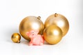 Golden balls pig Chinese New Year symbol traditional cultural zodiac calendar isolated