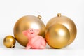 Golden balls pig Chinese New Year symbol traditional cultural zodiac calendar isolated