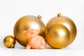 Golden balls pig Chinese New Year symbol traditional cultural zodiac calendar isolated