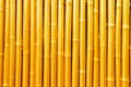 Golden Bamboo Royalty Free Stock Photo