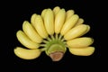 Golden banana bunch isolated Royalty Free Stock Photo
