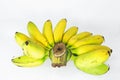 Golden banana Royalty Free Stock Photo
