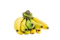 Golden banana bunch Royalty Free Stock Photo