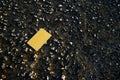 Golden Bank Card Lies On Stone Pier Covered With Water Moraitika, Corfu, Greece. The Concept Of Payment For Nature And Unlimited