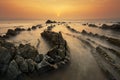 Golden barrika