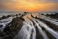 Golden barrika