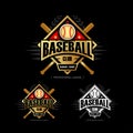 Golden Baseball sport badge logo design template and some elements for logos, badge, banner. T-shirt screen and printing. Royalty Free Stock Photo