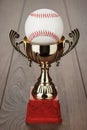 Golden baseball trophy cup