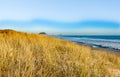 Golden beach grass sloping to water`s edhe with landmak Mount Maunganui and cruise ship in distance Royalty Free Stock Photo