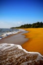 Golden beach Royalty Free Stock Photo