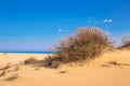 Golden beach Karpaz, North Cyprus Royalty Free Stock Photo