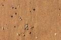 Golden beach sand texture, top view Royalty Free Stock Photo