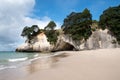 The golden beach and stunning rock formations and archway at Cathedral cove in the Coromandel NZ