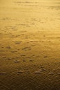 Golden beach at sunset. Royalty Free Stock Photo