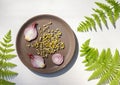 Golden bean sprouts, Munga beans and red onion slices on a plate, top view with space Royalty Free Stock Photo