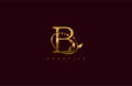 Golden Beauty Flourishes Initial Typography B Logogram