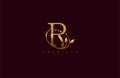 Golden Beauty Flourishes Initial Typography R Logogram