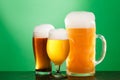 Golden beer in glass with foam, alcohol beverage,  lager pub Royalty Free Stock Photo