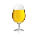 Golden beer glass pilsner beer tulip with foam crown and dew condensing water drops Royalty Free Stock Photo