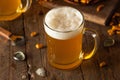 Golden Beer in a Glass Stein Royalty Free Stock Photo