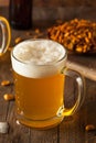 Golden Beer in a Glass Stein Royalty Free Stock Photo