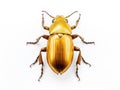 Ai Generated illustration Wildlife Concept of Golden beetle