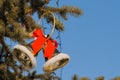 Golden bells with red bow on Christmas tree branch on street - new year concept Royalty Free Stock Photo