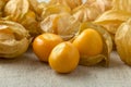 Golden berries or physalis fruit closeup Royalty Free Stock Photo