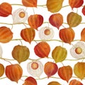 Golden berry flowers seamless watercolor pattern Physalis plants repeated background Cape gooseberry buds botanical illustration