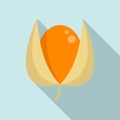 Golden berry icon, flat style