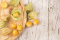 Golden berry, uchuva - Physalis peruviana Royalty Free Stock Photo