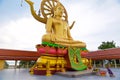 Golden big buddha the symbol and heart of samui island island