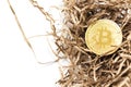 Golden bitcoin in the background of the rugged paper. Business concept. Bitcoin crash.