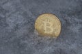 Golden bitcoin coin in ice Royalty Free Stock Photo