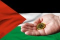 Golden bitcoin coin in man& x27;s hand, Palestine flag in the background
