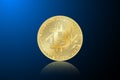 Golden bitcoin coin. Vector crypto currency golden symbol on blue background Royalty Free Stock Photo