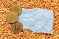 Golden Bitcoin coins in harvested corn grain