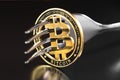 Bitcoin crytocurrency coin with fork