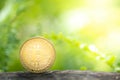 Golden bitcoin on greenery background