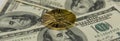 Golden bitcoin lie on one hundred dollar bills Royalty Free Stock Photo