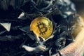Golden bitcoin placed on a dry leaves background with a sunlight